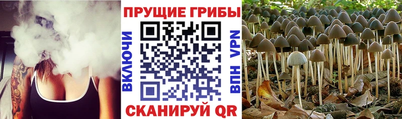 Псилоцибиновые грибы MAGIC MUSHROOMS  Якутск 